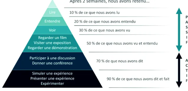 Figure 7 : pyramide d’apprentissage d’Edgar Dale, modifié d’après E. Dale (35) 