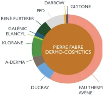 Figure 13 : Répartition du CA des marques détenues par Pierre Fabre Dermo-Cosmétique en  2015 