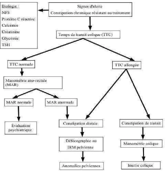 Figure 9 : Outils diagnostiques  Légende :