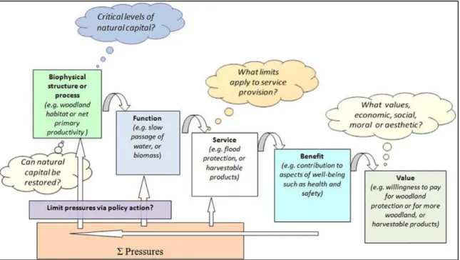 Figure 5. Service cascade inspiré des travaux de Potschin  (proposé par de Groot et al.,  2010a :264) 