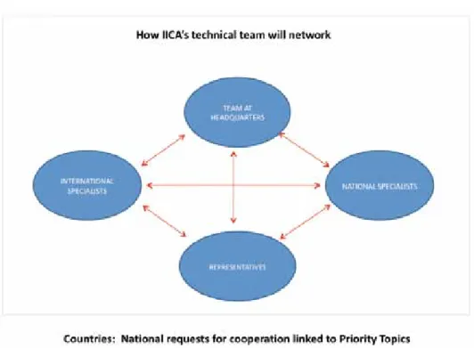 Figure 2.  Networking among IICA’s technical teams 