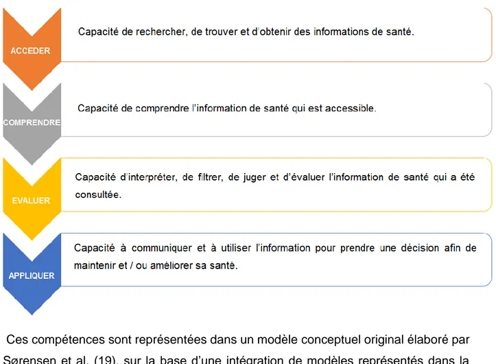 Figure 7: Les quatre compétences de la littératie en santé 