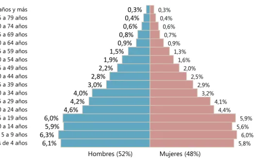 Figura 6. Estructura de la población por grupo etario y género (%),  Municipio Rómulo Gallegos 