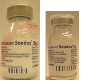 Figure 7 : Ressemblance entre les conditionnements primaires de la Ceftriaxone Sandoz® 