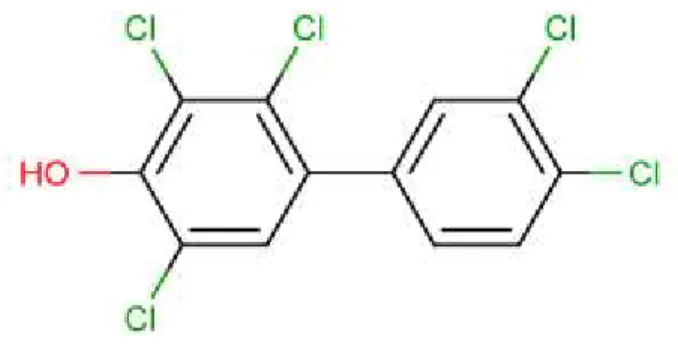 Figure 1.1.4. Structure d’un métabolite hydroxylé, le 4-OH-CB 107 (4-OH-2,3,3’,4’,5- (4-OH-2,3,3’,4’,5-pentachlorobiphényle)