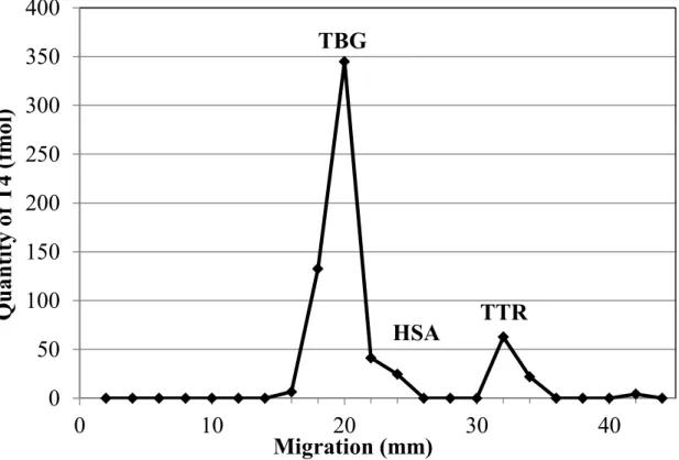 Figure  2.1.  Distribution  of  T4  among  plasma  transport  proteins  determined  by  a  combination of native-PAGE and LC-MS/MS