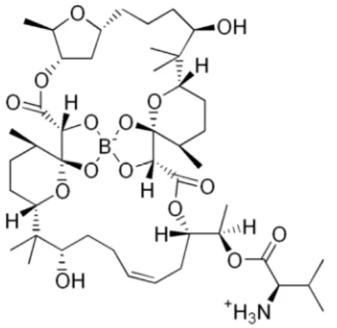Figure 5 : Structure des aplasmomycines 20