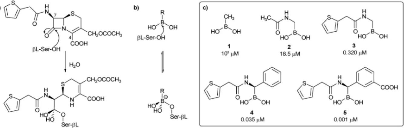 Figure 12 : Structure du vaborbactam 