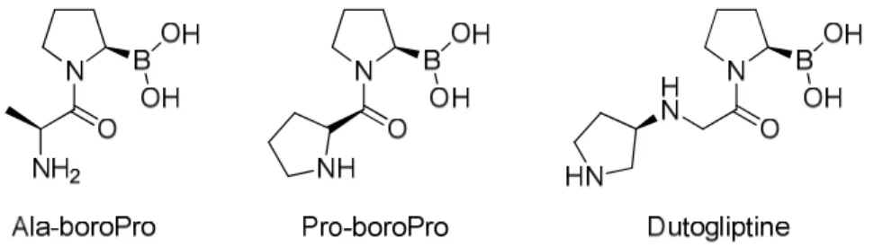 Figure 13 : Structures d’acides prolineboroniques inhibiteurs de la DDP4 