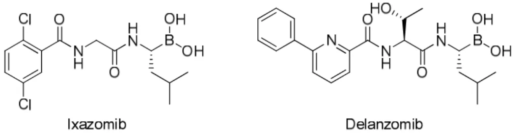 Figure 15 : Structures de l’Ixazomib (Ninlaro®) et du Delanzomib. 