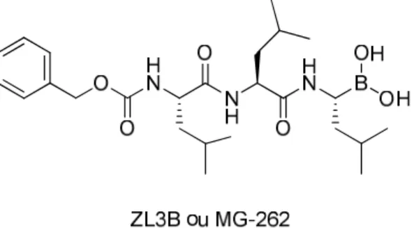 Figure 20 : Structure du composé ZL3B 
