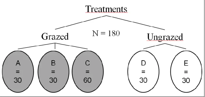 Figure  3.  Experimental  design  with  the  two  treatments  “Grazed”  and  “Ungrazed”,  the  number of blocks (replications) A, B, C, D and E and the number of trees sampled