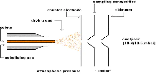 Figure 7: Schéma d’une source electrospray 