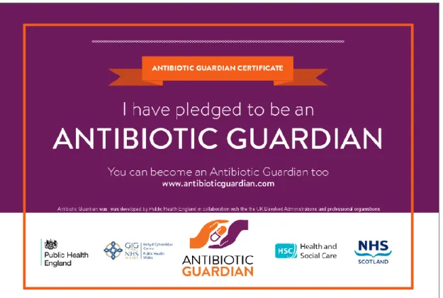 Figure 5 Certificat délivré sur le site de la NHS aux personnes s’engageant à participer à la lutte contre  la résistance aux antibiotiques