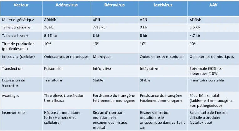Tableau  1 :  Résumé  des  caractéristiques  des  principaux  vecteurs  viraux  utilisés  lors  d’essais cliniques