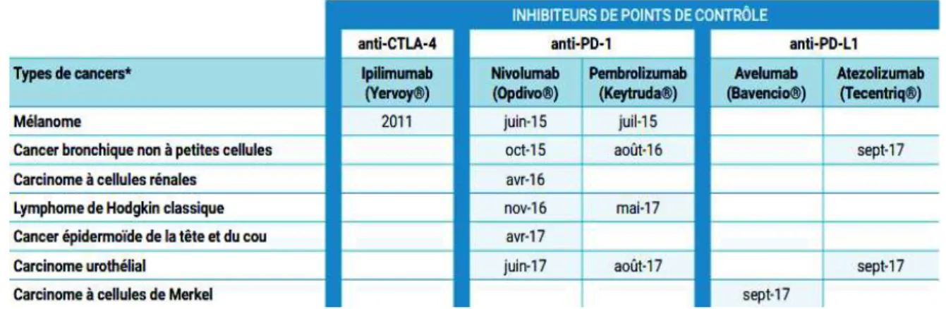 Tableau  2:  Présentation  des  types  de  cancers  dans  lesquels  les  inhibiteurs  de points  de  contrôle  ont (au moins) une indication thérapeutique approuvée dans l'Union européenne, d'après l'Institut  National du Cancer 