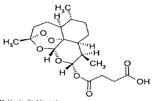 Figure 7 : Molécule d'artésunate  Source : CNR paludisme 