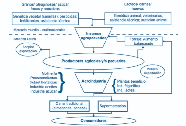 Figura 5. Mapeo de los principales eslabonamientos de las  cadenas agroalimentarias más importantes de ALC.