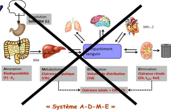 Figure 13 : Inconciliabilité des biothérapies avec le système A - D – M -  E 