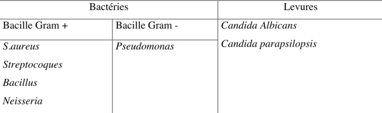 Tableau 2 : Les différents micro-organismes composant la flore cutanée transitoire 