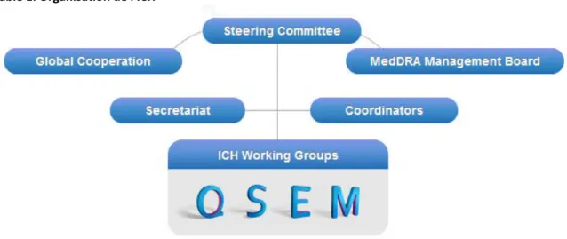 Table 1: Organisation de l'ICH 