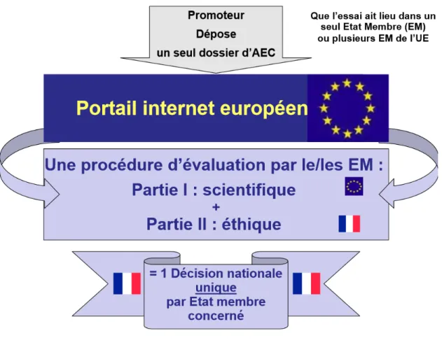 Figure 3: Procédure d'autorisation selon le règlement n°536/2014 