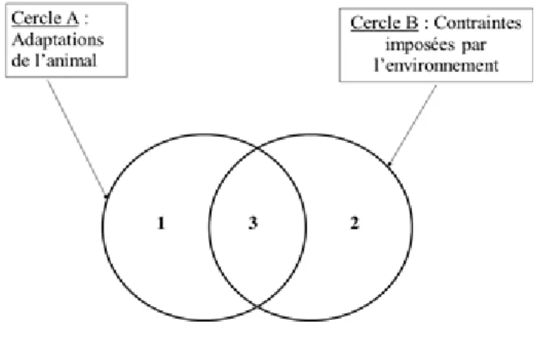 Figure 1.1 Modèle intégratif du bien-être (d’après Fraser et al., 1997) 