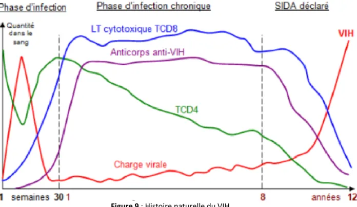 Figure 9 : Histoire naturelle du VIH 