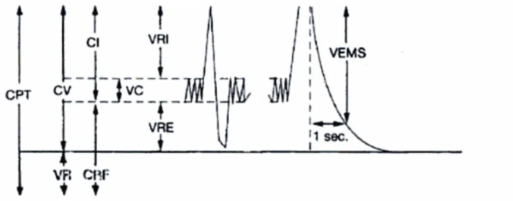 Figure 17 : Exploration fonctionnelle respiratoire (G16)