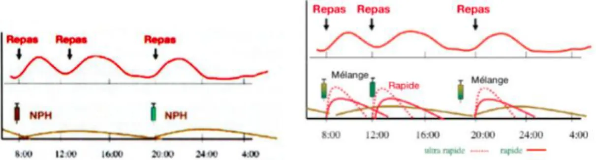 Figure 8 : Insulinothérapie à 2 injections (30)  Figure 9 : Insulinothérapie à 3 injections  (30) 