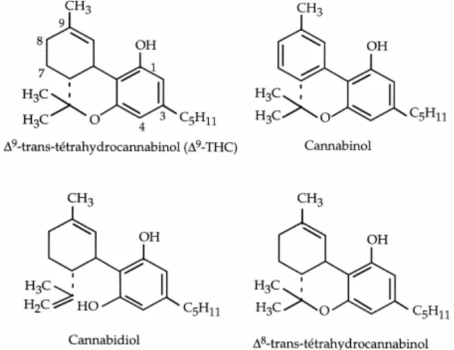 Figure 1 : Structures moléculaires du ∆9-transtétrahydrocannabinol, du Cannabinol, du  Cannabidiol, du  Δ 8-trans tétrahydrocannabinol 