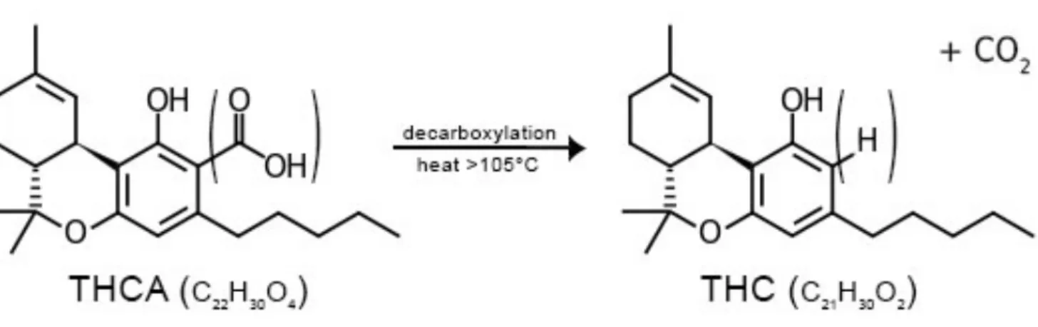 Figure 2 : Réaction de décarboxylation de l’acide tétrahydrocannabinolique en Δ9-THC 