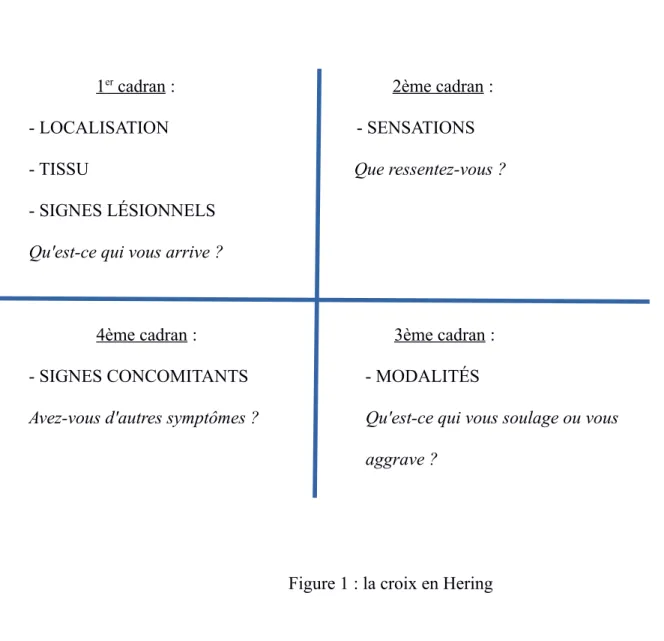 Figure 1 : la croix en Hering