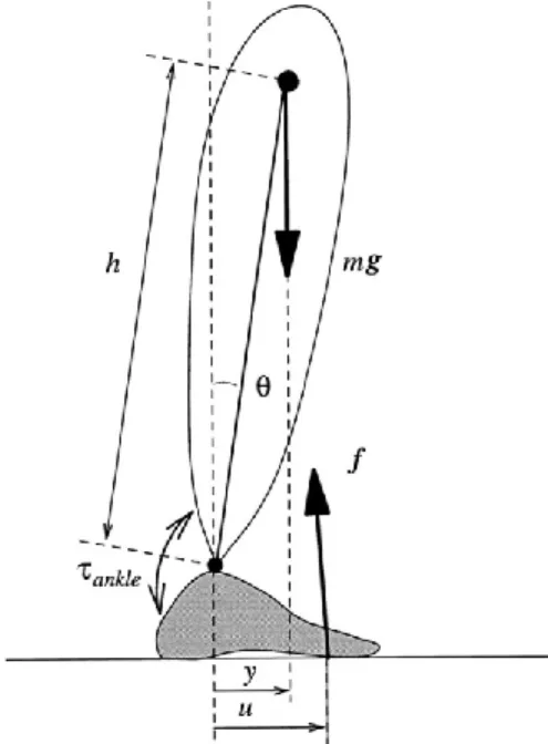 Figure 1 – scheme of the human ―inverted pendulum‖ for sway in the sagittal plane. From Morasso PG,  Schieppati M, J Neurophysiol 1999;82:1622-1626