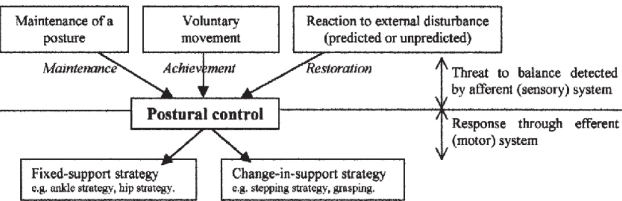 Figure 2 – summary of the different modes of control. Adapted from Pollack, Durward, Rowe and Paul  (2000)