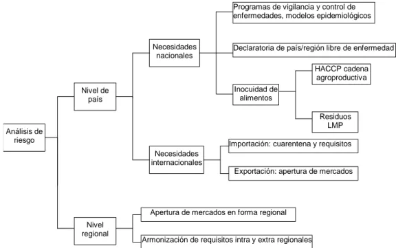 Figura 5. Esquema de los principales temas de análisis de riesgo en un servicio veterinario 