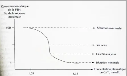 Figure 6: Réponse sécrétoire de la PTH à la calcémie (8), (11) 