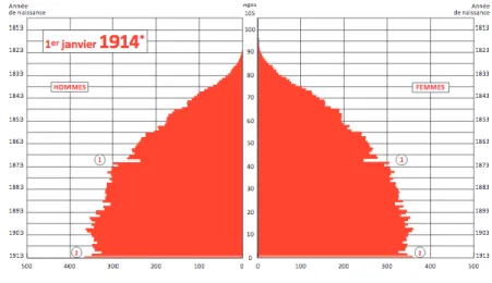 Figure 2 : Pyramide des âges au 1er janvier 1914  Source : G. PINSON. Population et sociétés, n°509, INED, mars 2014 