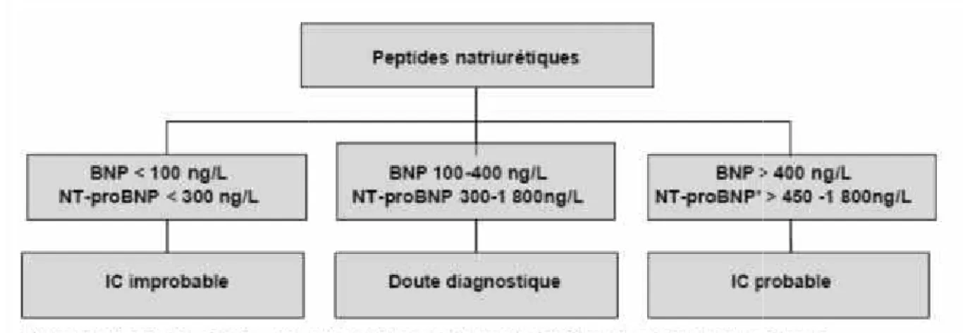 Figure n°5 : Tableau présentant les différentes valeurs des peptides natriurétiques D’autres  paramètres  biologiques  peuvent  être  dosés