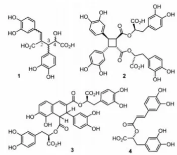 Figure 5 : Composés 1 à 4 retrouvés dans Plectranthus amboinicus étudié à Taïwann A  C 