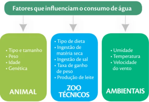 FIGURA 6 |  Fatores que influenciam o consumo de  água pelos animais.