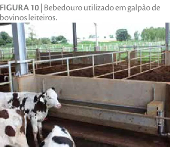 FIGURA 10 | Bebedouro utilizado em galpão de  bovinos leiteiros.