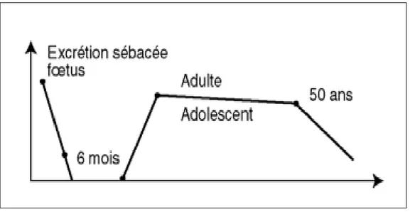 Figure 8 : Evolution de la sécrétion sébacée avec l’âge 