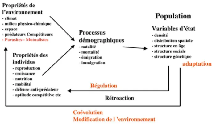 Figure 1 : Unité d'étude en écologie : le système population-environnement  (Source : Université de Lyon, 