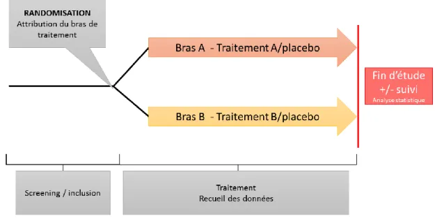 Figure 1. Représentation schématique d’un essai clinique en groupes parallèles. 