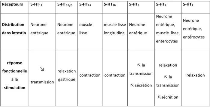 Tableau  3 :  Distribution  dans  l’intestin  des  récepteurs  à  la  sérotonine,  adapté  de :  Pharmacology  of  serotonin : what a clinician should know