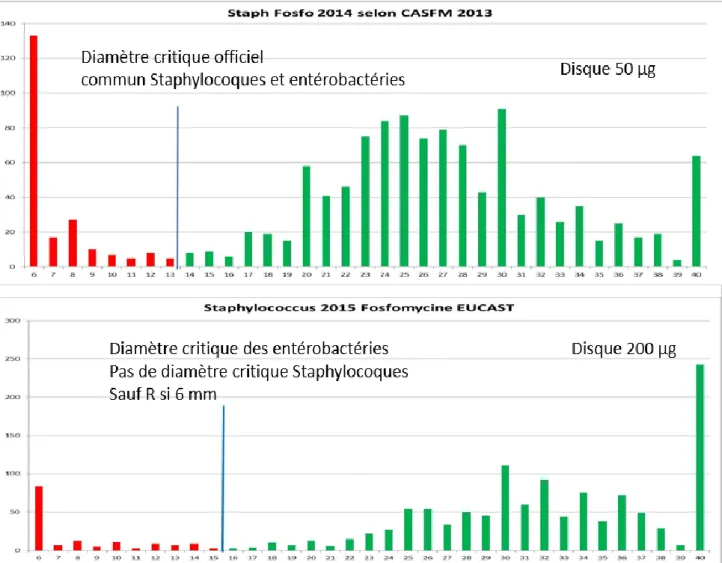 Figure 9 Répartition des diamètres de fosfomycine chez les staphylocoques selon le CASFM 2013 et l'EUCAST 2015