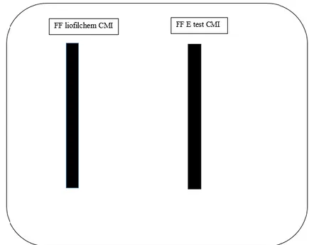 Figure 11 Plan de dépôt des bandelettes fosfomycine
