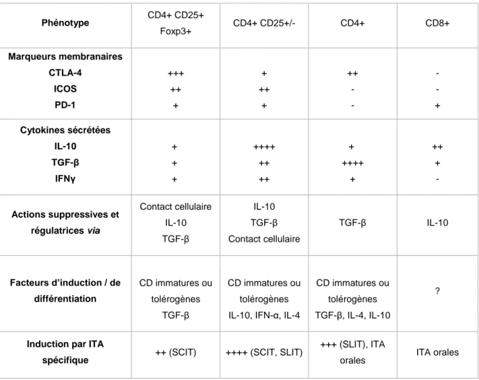 Tableau 3. Caractéristiques des différentes populations de LTrég (non exhaustif), (adapté de  29 106 )