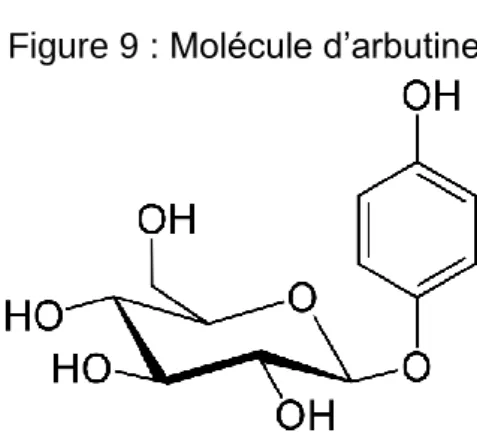 Figure 9 : Molécule d’arbutine 